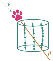 softpaws logo